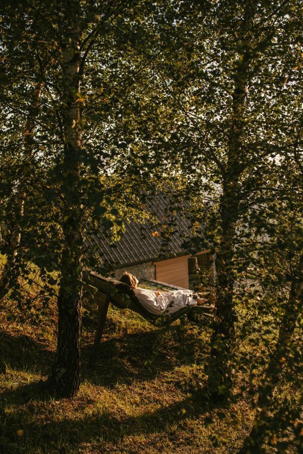 Eco Chalet Astramontana Tolmin Exteriér fotografie