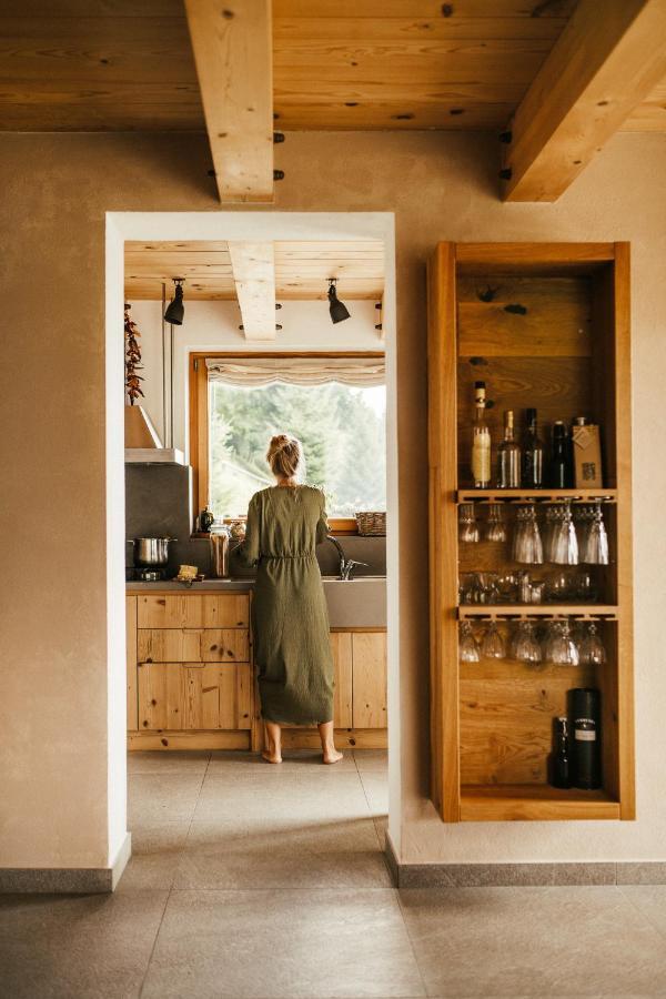 Eco Chalet Astramontana Tolmin Exteriér fotografie